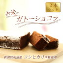 【ふるさと納税】【グルテンフリー】手作りガトーショコラ(魚沼産コシヒカリ米粉100%)2本詰め【離島配送不可】