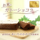 【ふるさと納税】【グルテンフリー】手作りガトーショコラ(あいちのかおり米粉100%)2本詰め【離島配送不可】