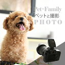 【ふるさと納税】ペットと撮影(データ3枚付き)