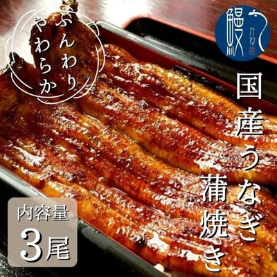 17位! 口コミ数「0件」評価「0」うなぎ蒲焼き　3尾入　国産　三河一色産　【 和食 惣菜 うなぎの蒲焼 真空パック 皮が柔らかい 肉厚 小骨が少ない つまみ お酒のあて 】