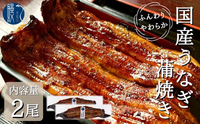 【ふるさと納税】うなぎ蒲焼き　2尾入　国産　三河一色産　【 和食 惣菜 うなぎの蒲焼 真空パック 皮が柔らかい 肉厚 小骨が少ない つまみ お酒のあて 】