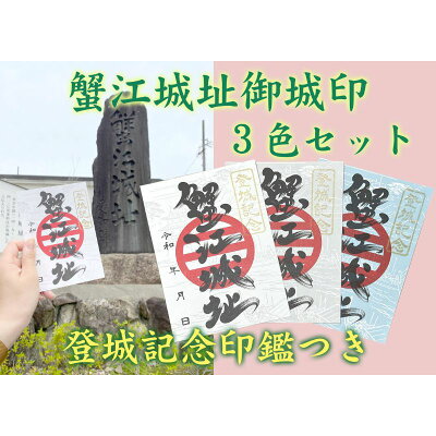 楽天ふるさと納税　【ふるさと納税】【蟹江城址】御城印3色セット　【 雑貨 コレクション 趣味 歴史 日本史 登城記念印 リーフレット付き 蟹江合戦 お城巡り 御城印集め 登城記念証】