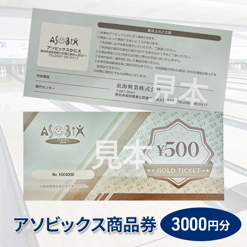 アソビックス商品券3000円分 [チケット 商品券 ]