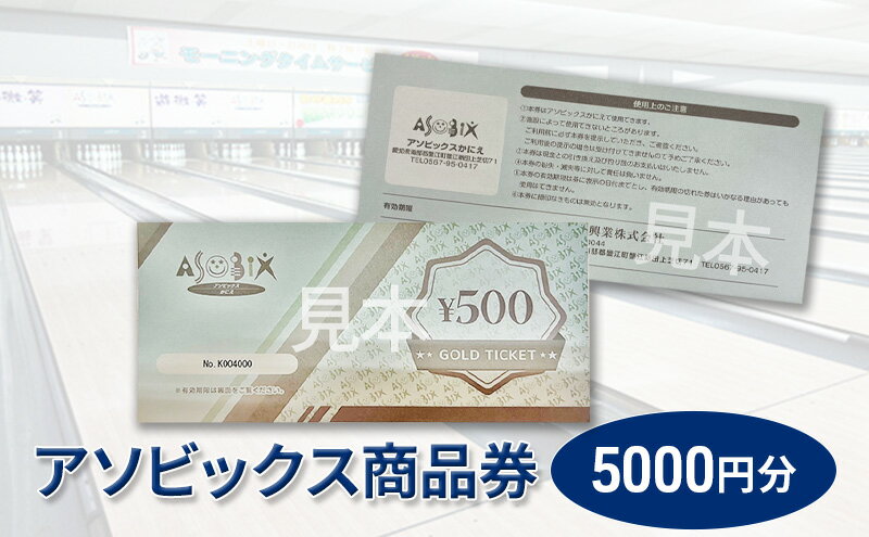 【ふるさと納税】アソビックス商品券5000円分...の紹介画像2