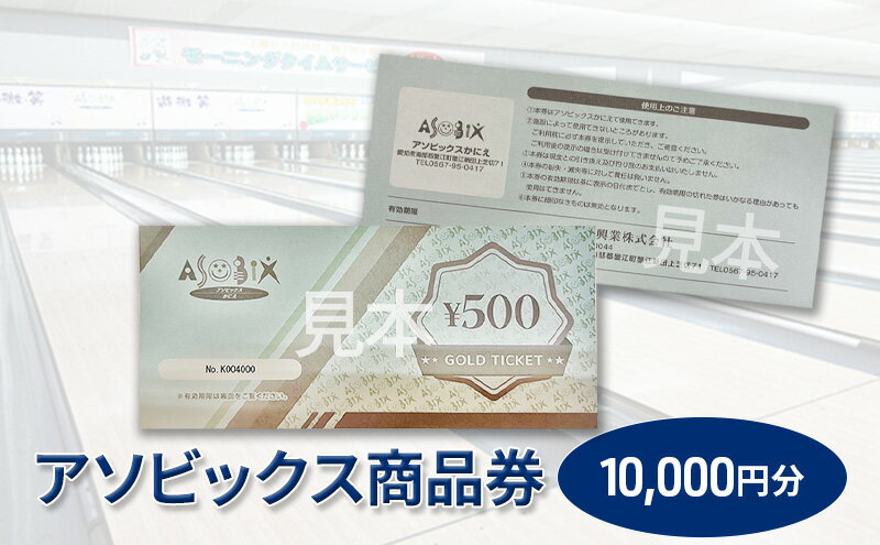 【ふるさと納税】アソビックス商品券10000円分　【チケット 商品券 】