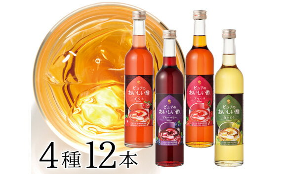 お酢飲料人気ランク15位　口コミ数「0件」評価「0」「【ふるさと納税】No.041 フルーツビネガー　12本セット ／ 甘み お酢 爽やか ドリンク ザクロ アセロラ ブルーベリー 白ぶどう 送料無料 愛知県」