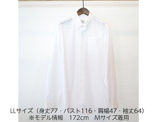 【ふるさと納税】No.055 WATAKUMI　白シャツ　BOTTONDOWN（LL） ／ 知多木綿...