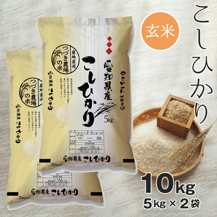 [玄米] 令和5年産 つづき農場のコシヒカリ 10kg / お米 こしひかり ごはん 送料無料 愛知県