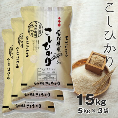 楽天ふるさと納税　【ふるさと納税】No.134 【白米】 令和5年産 つづき農場のコシヒカリ 15kg ／ お米 こしひかり 精米 白米 ごはん 送料無料 愛知県