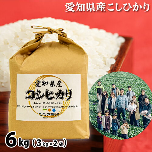 愛知県産コシヒカリ 6kg/ お米 白米 精米 こしひかり ごはん 送料無料 愛知県