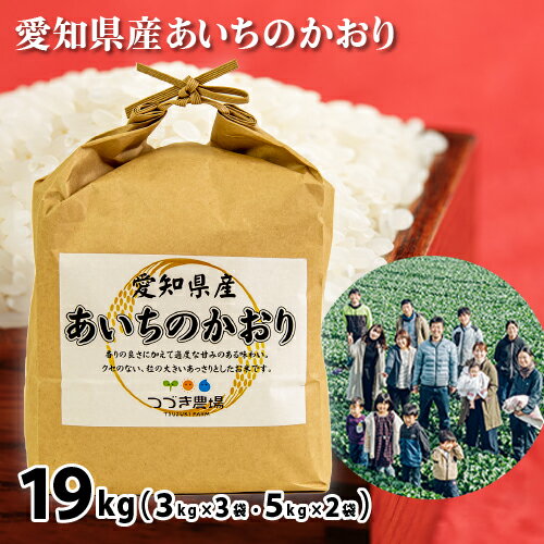 【ふるさと納税】No.192 愛知県産あいちのかおり　19kg ／ お米 白米 精米...