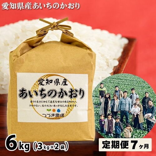 【ふるさと納税】No.205 【7ヶ月定期便】愛知県産あいちのかおり 6kg×7回 ／ 知多半島 大粒 あっさり 送料無料 愛知県