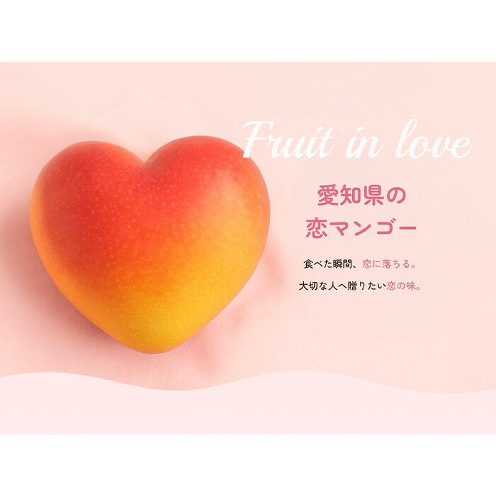 【ふるさと納税】＼先行予約／【訳あり】樹上完熟 恋マンゴー【家庭用化粧箱入】【選べる内容量：1kg（2～3個）・2kg（4～6個）】 果物 フルーツ デザート 南国 コク 甘み 規格外 特産品 送料無料 愛知県【2027年6月中旬頃より順次発送予定】送料無料 AG002 f234419-agui-10000210 愛知県阿久比町 サンプル画像2