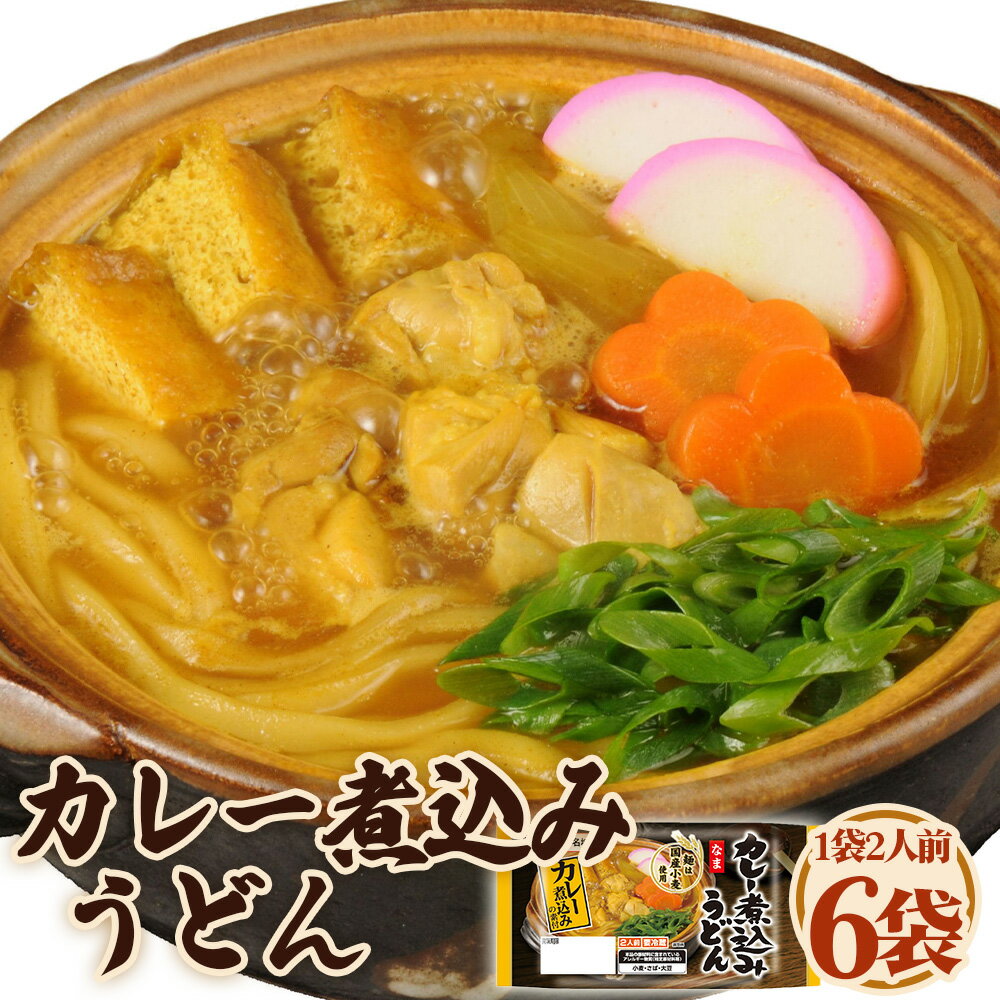 【ふるさと納税】 カレー煮込みうどん 2人前 6袋 ／ カレーうどん 煮込み 和風出汁 かつお スパイシー 麺 太麺 国産小麦 硬め コシ 濃厚 昼食 夕食 夜食 お取り寄せ 料理 愛知県 No.248