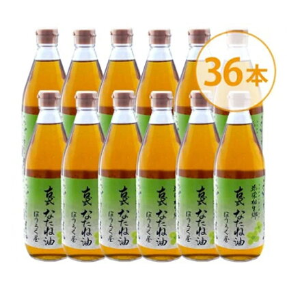 古式なたね油 (東浦町産菜種100%) 520g入り 36本｜菜種油 調味料 国産 無農薬 愛知県 [0631]