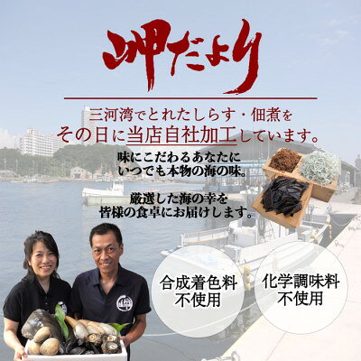 愛知県南知多町の画像3