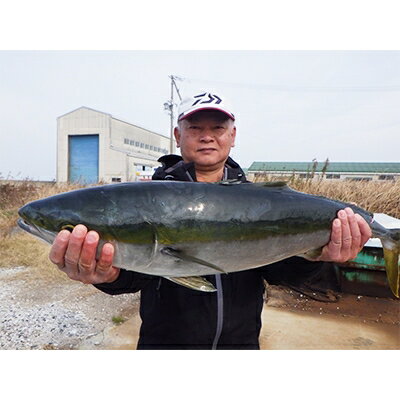 【ふるさと納税】【師崎漁協】釣り船　大物乗合1人利用券【1129743】