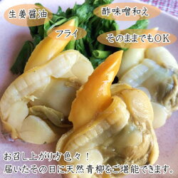 【ふるさと納税】【調理不要!】天然青柳ゆで身セット　150g×5袋【配送不可地域：離島】【1148424】 画像1