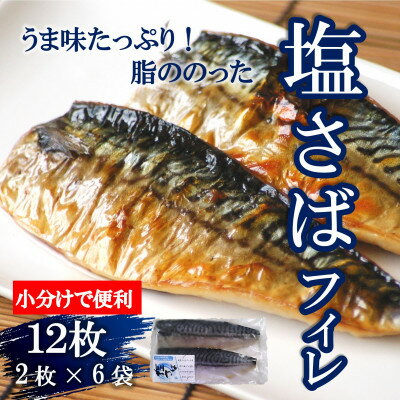 塩さばフィレ 12枚(2枚×6袋)小分けで便利だからお弁当のおかずに!冷凍便でお届けします!【配送不可地域：離島】【1169417】