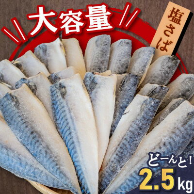 yӂ邳Ɣ[Łz󂠂 ΃tB 2.5kg(26O) ⓀւɂĂ͂!ɂ҂!yzsnFzy1169418z