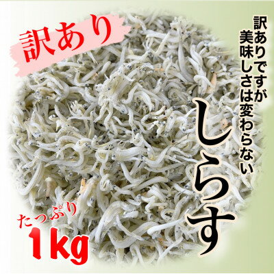 訳あり 釜揚げしらす 1kg 冷凍 愛知県 南知多町 釜揚げ しらす 魚 さかな ご飯 ごはん 日間賀島 おすすめ