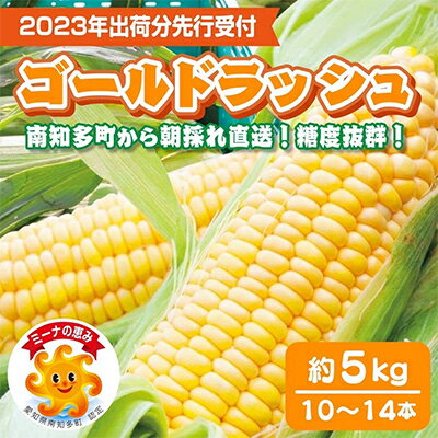 【ふるさと納税】 【先行予約 4月～6月上旬まで!!】 スイートコーン　南知多産とうもろこし10～14本「ミーナコーン」「ミーナの恵み」認定品 朝採れ 【配送不可地域：離島】