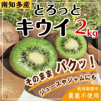 【ふるさと納税】【南知多産】とろっとキウイ 2kg サイズ混合【栽培期間中農薬を不使用】【1370286】