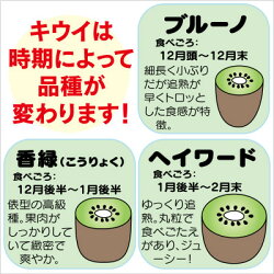 【ふるさと納税】【南知多産】とろっとキウイ 2kg サイズ混合【栽培期間中農薬を不使用】【1370286】 画像2