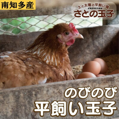 とりのさと農園の平飼い玉子60個[南知多産]