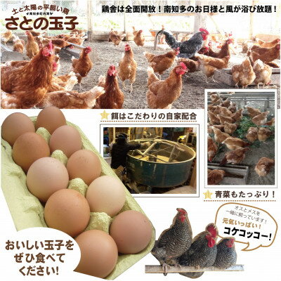 【ふるさと納税】とりのさと農園の平飼い玉子60個【南知多産】【1372133】