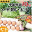 【ふるさと納税】旬の季節野菜セット(10～12品目)&平飼い玉子10個【配送不可地域：離島】【1373809】