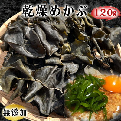 岬だよりのコリコリ食感・粘り抜群の乾燥めかぶ　120g×1袋【1398933】