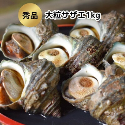 秀品サザエ1kg 刺身・生食可(CAS冷凍で新鮮)大粒約6〜7コ[配送不可地域:離島]