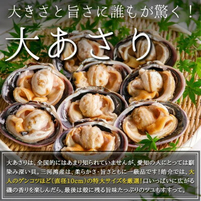 【ふるさと納税】海鮮バーベキューセット1kg(大あさり500g&サザエ500g)大アサリ専用だし醤油付き【配送不可地域：離島】【1404602】