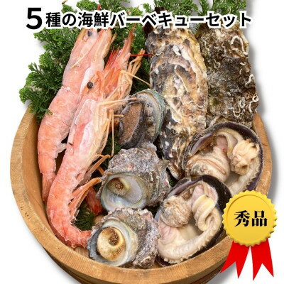 【ふるさと納税】5種10品の海鮮バーベキューセット(CAS冷凍)大あさり、牡蠣、サザエ、赤海老、アワビ【配送不可地域：離島】【1404997】のサムネイル