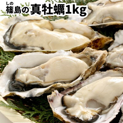 【ふるさと納税】特上・篠島の殻付き真牡蠣1kgセット(生食用かき・CAS冷凍カキ)海鮮バーベキューBBQ、浜焼きに【配送不可地域：離島】【1405142】