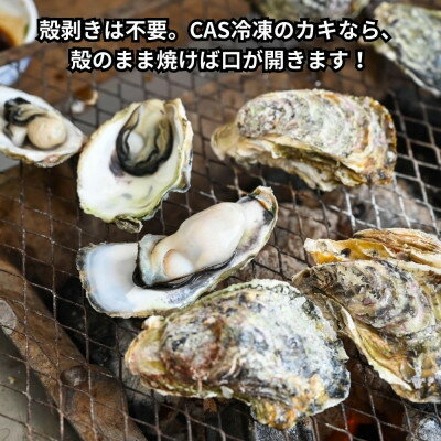 【ふるさと納税】特上・篠島の殻付き真牡蠣1kgセット(生食用かき・CAS冷凍カキ)海鮮バーベキューBBQ、浜焼きに【配送不可地域：離島】【1405142】