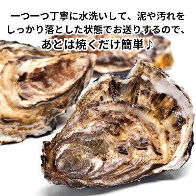【ふるさと納税】 殻付き 真牡蠣 カキ [ 生食用 カキ 冷凍 カキ ] 1kg セット 海鮮 バーベキュー BBQ 浜焼き 夏 おすすめ 人気 愛知県 南知多町【配送不可地域：離島】 f234451-minamichita-10000429 愛知県南知多町 サンプル画像3