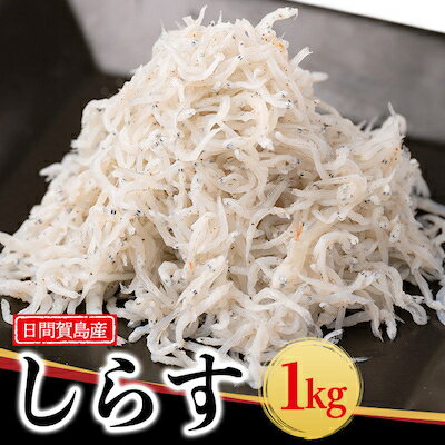 しらす 1kg 冷凍 愛知県 南知多町 天然 塩 ご飯 ごはん パスタ サラダ ピザ 丼 料理 国産 シラス 魚 さかな ミネラル パーティー 人気 おすすめ 【配送不可地域：離島】