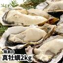 特上・篠島の殻付き真牡蠣2kgセット(生食用かき・CAS冷凍カキ)海鮮バーベキューBBQ、浜焼きに