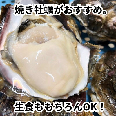 【ふるさと納税】 先行予約 XXL・天然岩牡蠣600g(1個・殻付き・生食用岩ガキの特上品)CAS冷凍カキ 海鮮バーベキューに f234451-minamichita-10000527 愛知県南知多町 サンプル画像3