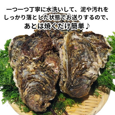 サンプル画像3