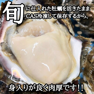 【ふるさと納税】 先行予約 篠島2種の天然殻付きカキ1kg(岩牡蠣&真牡蠣)食べ比べセット 生食用/CAS冷凍　海鮮BBQに f234451-minamichita-10000531 愛知県南知多町 サンプル画像2