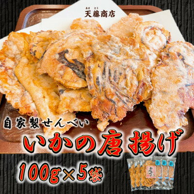 【ふるさと納税】訳あり いか せんべい 100g×5袋 ミネラル水 シママース使用 唐揚げ 天藤商店 自家製【1429111】