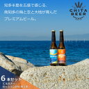 【ふるさと納税】知多マリンビール 6本セット (ピルスナー・セッションIPA 各3本) クラフトビール【配送不可地域：離島】【1431275】