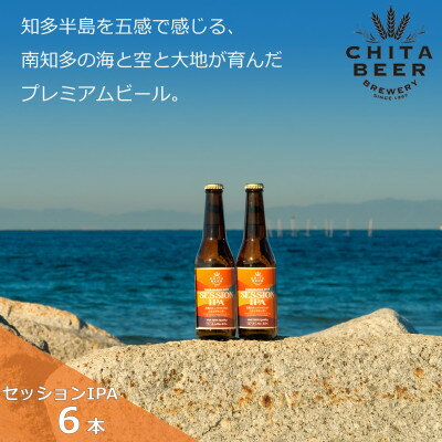 【ふるさと納税】知多マリンビール (セッションIPA) 6本 クラフトビール インディアン・ペール・ エール【配送不可地域：離島】【1431287】