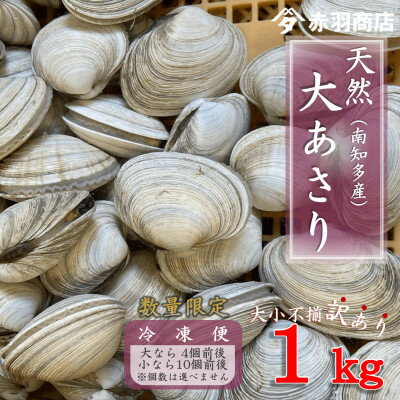 訳あり 南知多町産 活大あさり 約1kg 大なら4個前後 小なら10個前後 不揃い※個数は選べません【配送不可地域：離島・北海道・沖縄県・東北・中国・四国・九州】【1443332】