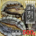 3位! 口コミ数「0件」評価「0」訳あり 南知多町産 天然活アワビ 約500g (2～4個) 捌き方のレシピ付き 大小不揃い【配送不可地域：離島・北海道・沖縄県・東北・中国・･･･ 