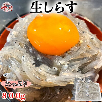 【先行予約】岬だよりの生しらす(お刺身)800g(100g×8個)【配送不可地域：離島】【1448504】