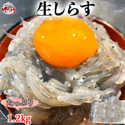 【ふるさと納税】【先行予約】岬だよりの生しらす(お刺身)1.2kg(100g×12個)【配送不可地域：離島】【1448514】